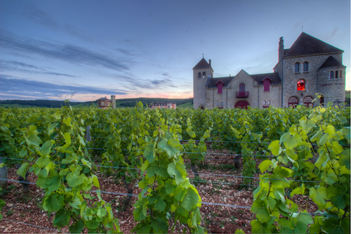 François Labet - which of his Burgundies are worth buying?